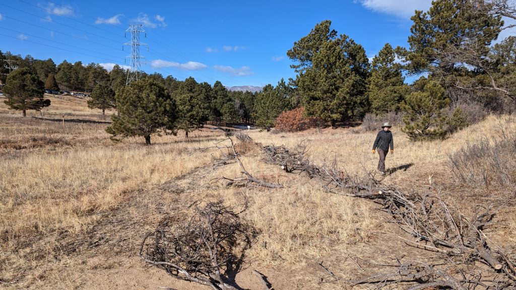 Successful MLK, Jr. Workday on January 16, 2023! Go Palmer Park