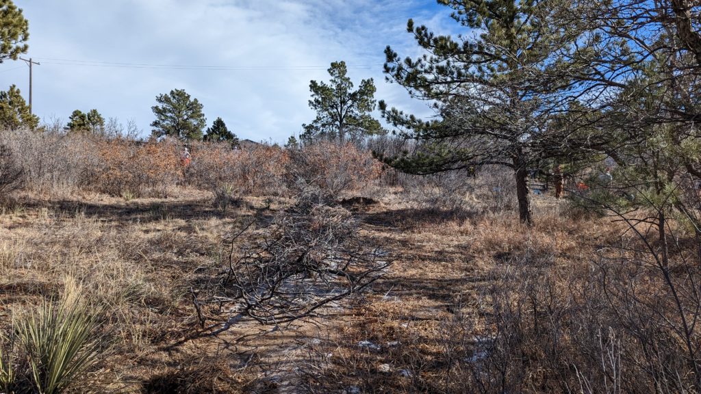 Successful MLK, Jr. Workday on January 16, 2023! Go Palmer Park